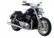 Triumph Thunderbird